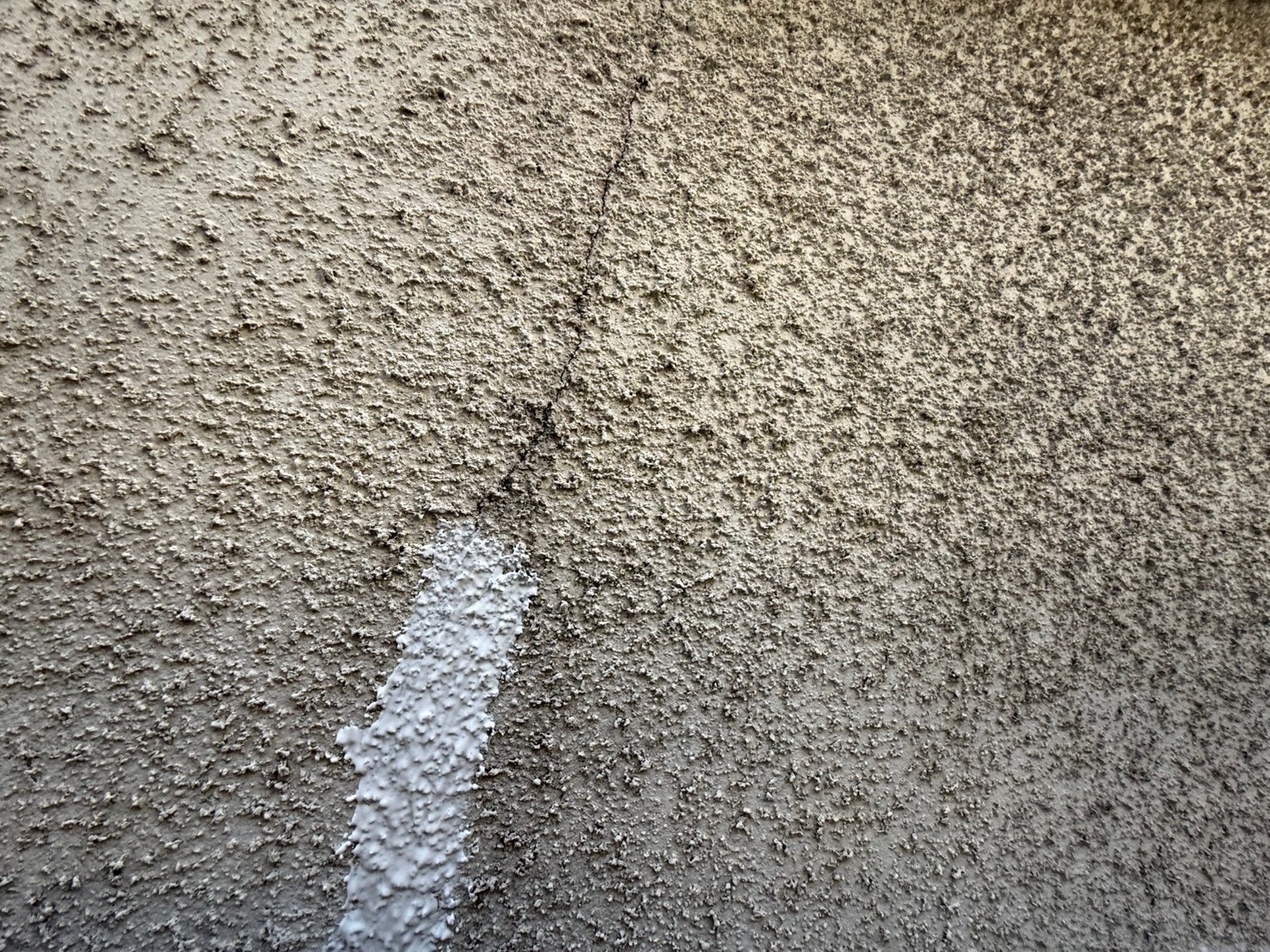 横浜市旭区　T様邸　外壁・屋根塗装工事～ホワイト系～